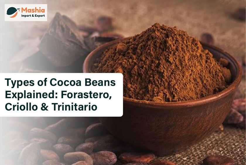 Types of Cocoa Beans Explained: Forastero, Criollo & Trinitario 